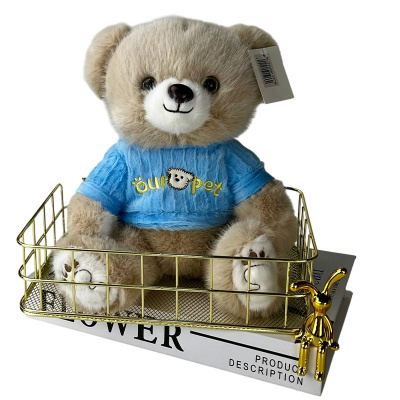 Мягкая игрушка Медведь Люкс в кофте BL-25008-22 22 см 1